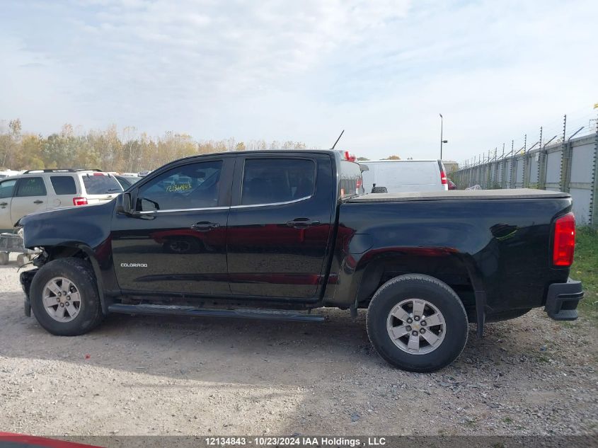 2019 Chevrolet Colorado VIN: 1GCGSBEN5K1233877 Lot: 12134843