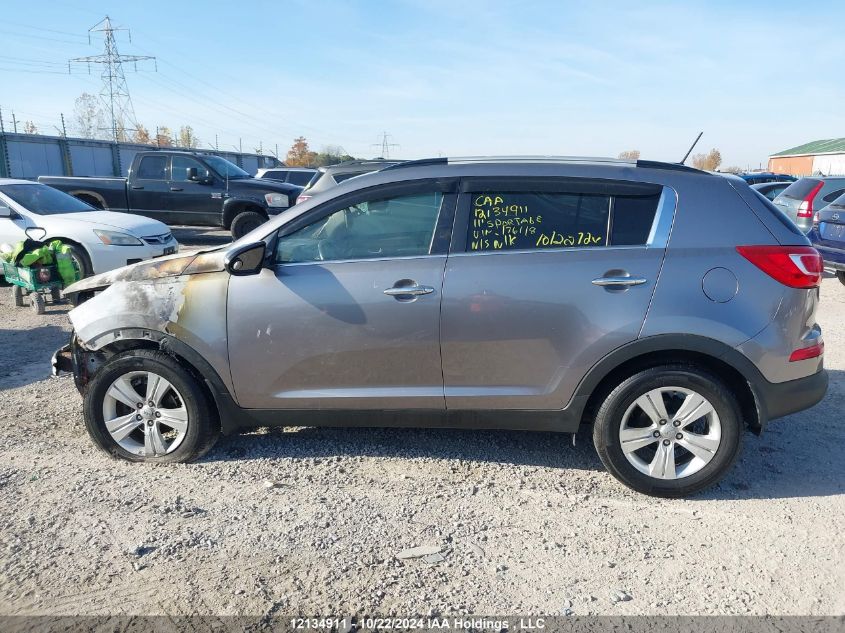 2011 Kia Sportage VIN: KNDPC3A2XB7176118 Lot: 12134911