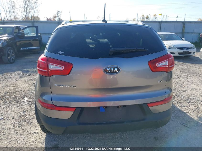 2011 Kia Sportage VIN: KNDPC3A2XB7176118 Lot: 12134911