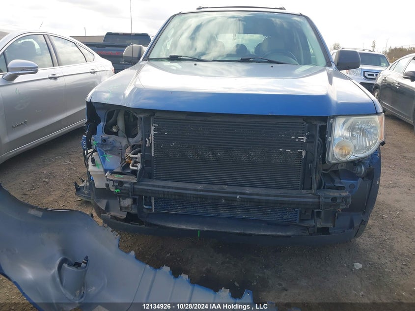 2009 Ford Escape VIN: 1FMCU03G79KA35125 Lot: 12134926