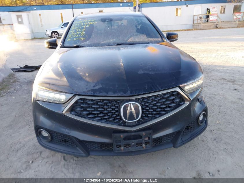 2019 Acura Tlx VIN: 19UUB1F6XKA801143 Lot: 12134964