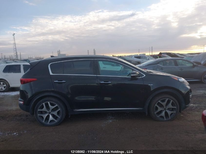 2017 Kia Sportage VIN: KNDPRCA60H7058041 Lot: 12135082