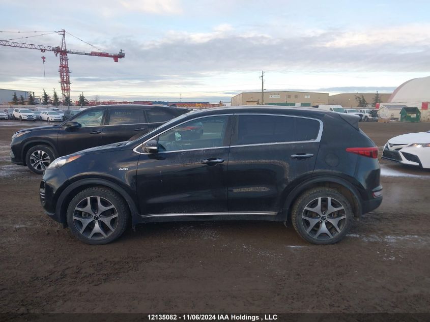 2017 Kia Sportage VIN: KNDPRCA60H7058041 Lot: 12135082