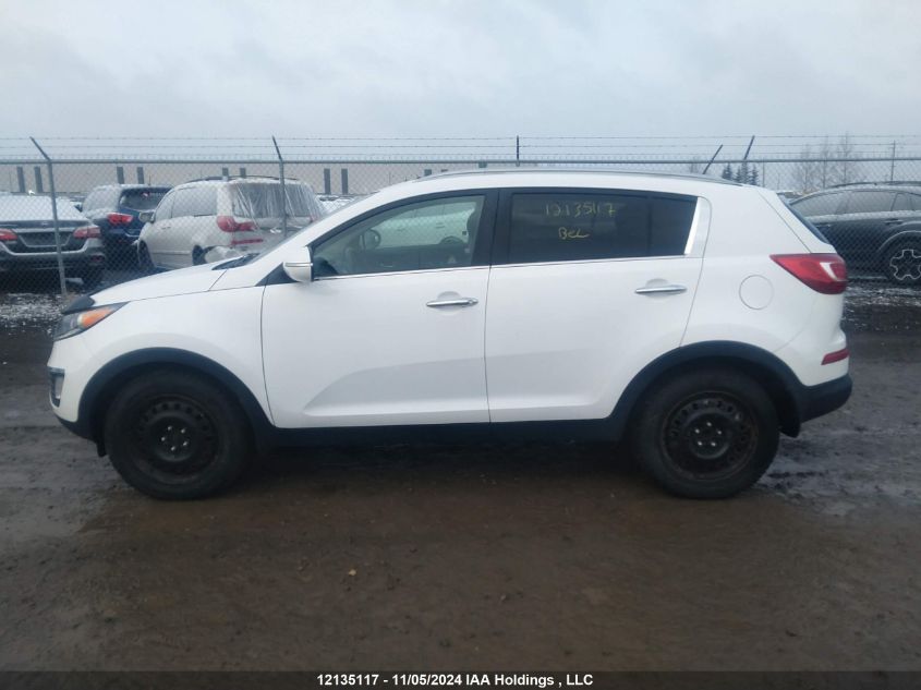 2011 Kia Sportage VIN: KNDPC3A24B7139615 Lot: 12135117