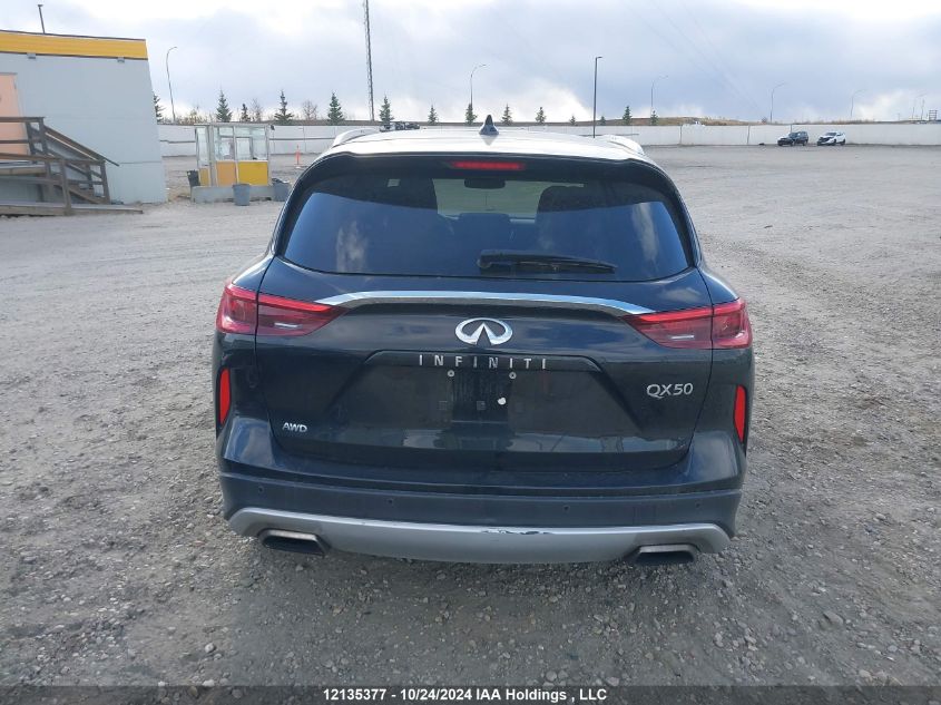 2019 Infiniti Qx50 VIN: 3PCAJ5M34KF109164 Lot: 12135377