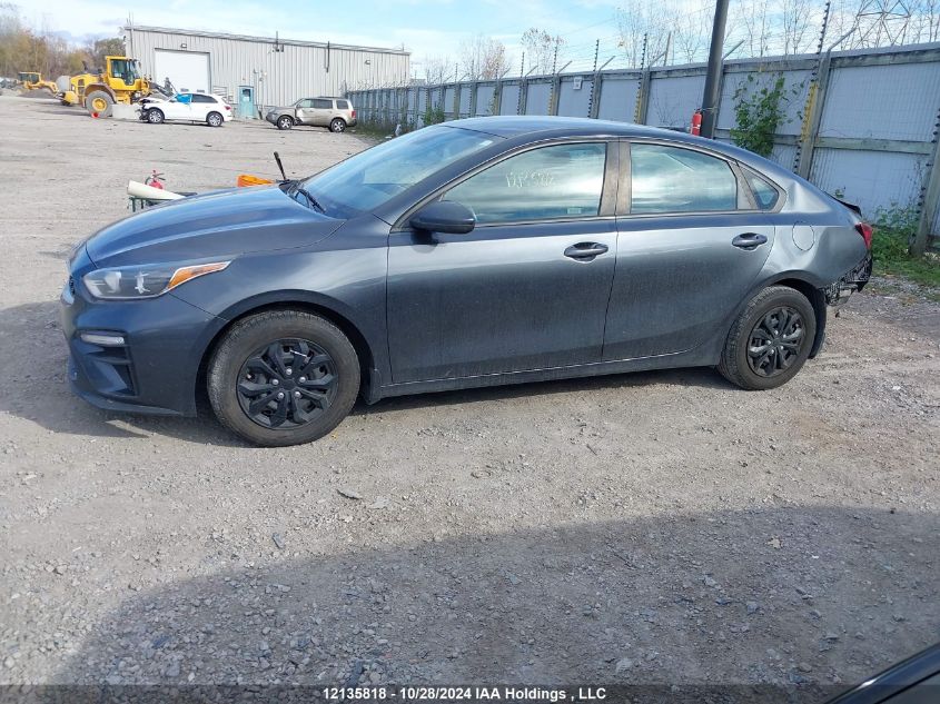 2019 Kia Forte VIN: 3KPF24ADXKE094217 Lot: 12135818