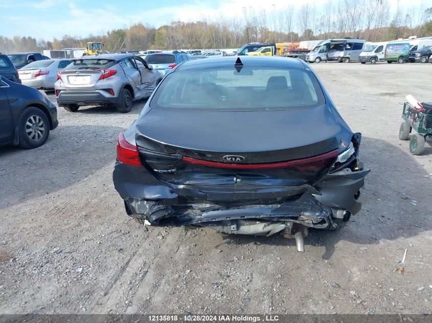 2019 Kia Forte VIN: 3KPF24ADXKE094217 Lot: 12135818