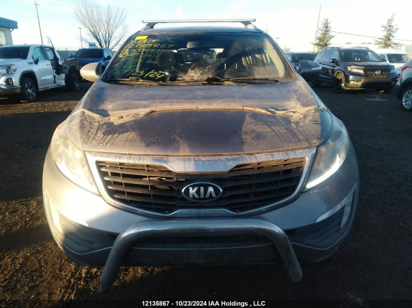 2013 Kia Sportage VIN: KNDPCCA24D7451601 Lot: 12135867