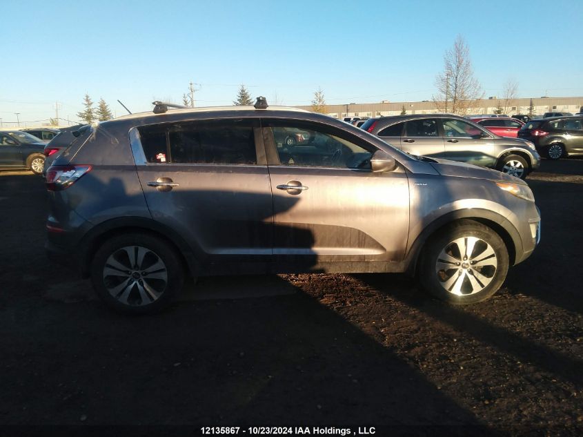 2013 Kia Sportage VIN: KNDPCCA24D7451601 Lot: 12135867