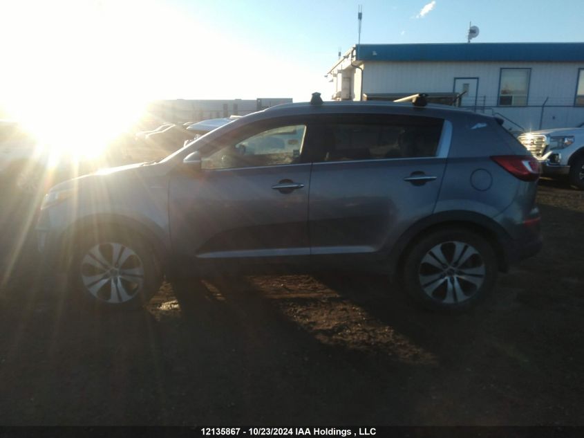 2013 Kia Sportage VIN: KNDPCCA24D7451601 Lot: 12135867