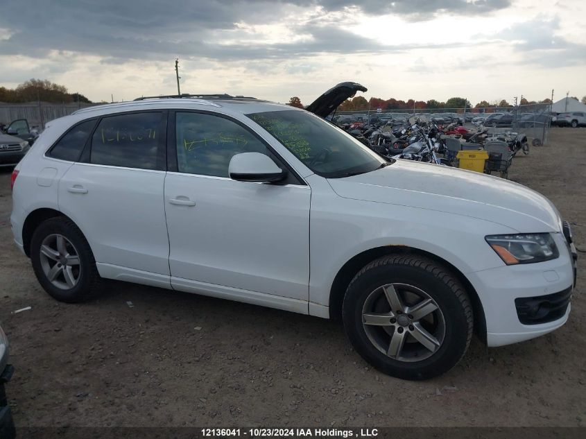 2011 Audi Q5 VIN: WA1LKCFP2BA000926 Lot: 12136041