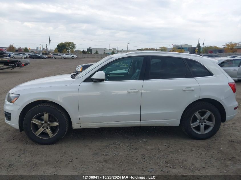 2011 Audi Q5 VIN: WA1LKCFP2BA000926 Lot: 12136041