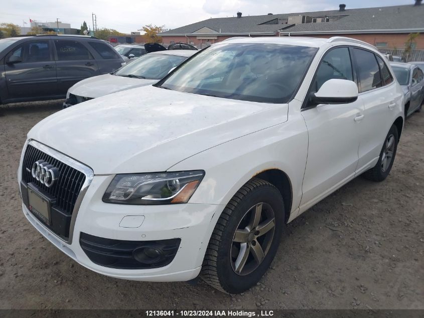 2011 Audi Q5 VIN: WA1LKCFP2BA000926 Lot: 12136041