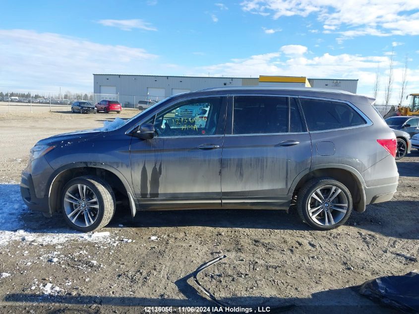 2020 Honda Pilot VIN: 5FNYF6H71LB505105 Lot: 12136056