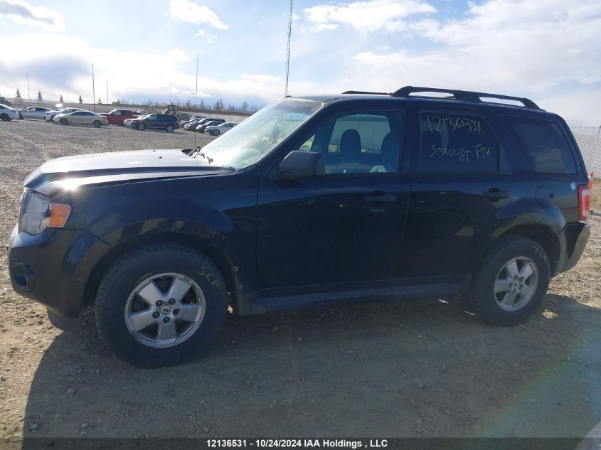 2012 Ford Escape Xlt VIN: 1FMCU0D7XCKC32134 Lot: 12136531