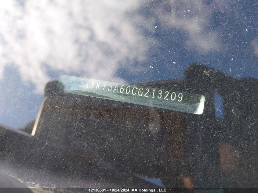 2012 Kia Sorento VIN: 5XYKT3A60CG213209 Lot: 12136581