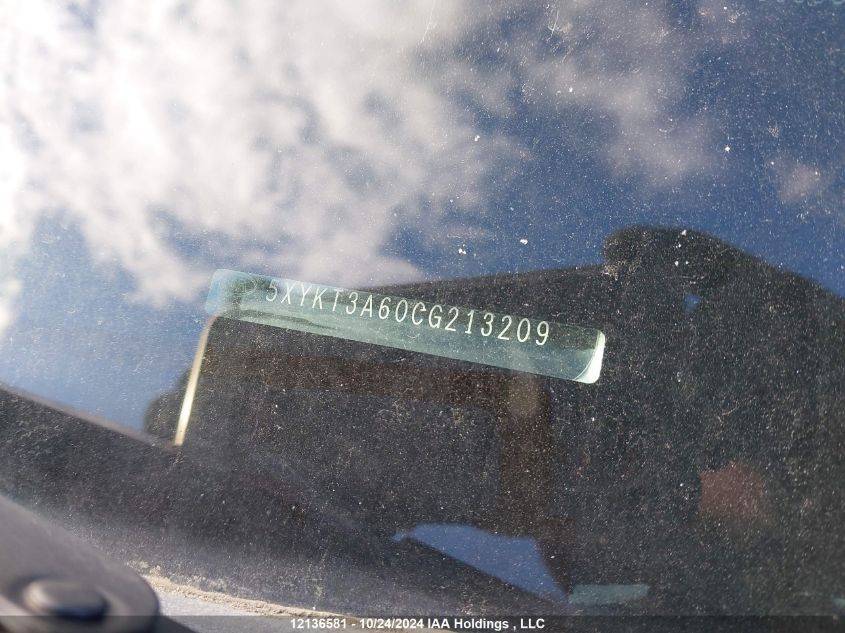 2012 Kia Sorento VIN: 5XYKT3A60CG213209 Lot: 12136581