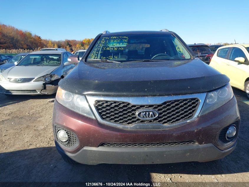 2013 Kia Sorento VIN: 5XYKTDA22DG384810 Lot: 12136676