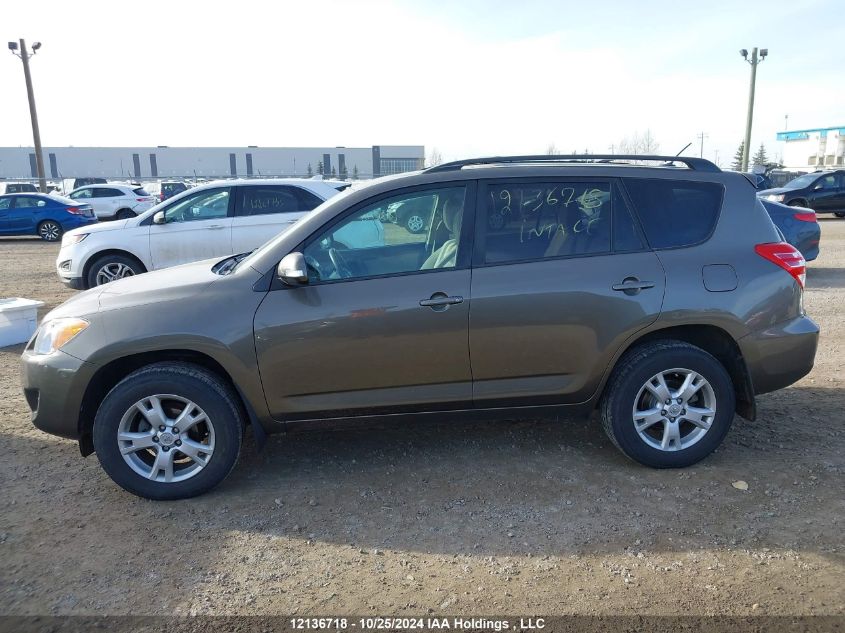 2011 Toyota Rav4 VIN: 2T3BF4DV1BW159838 Lot: 12136718