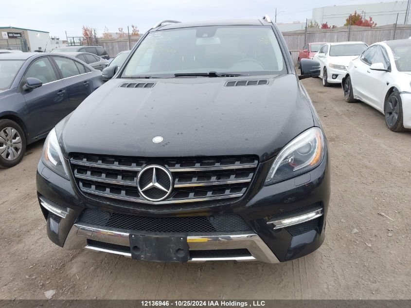 2013 Mercedes-Benz M-Class VIN: 4JGDA5HB8DA253600 Lot: 12136946