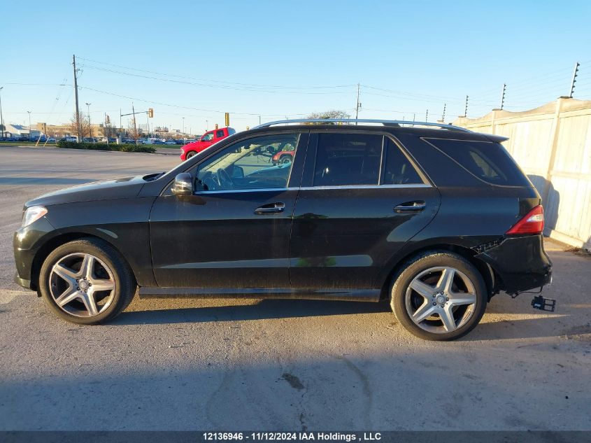 2013 Mercedes-Benz M-Class VIN: 4JGDA5HB8DA253600 Lot: 12136946