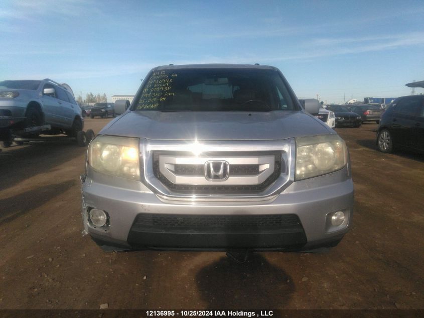 2011 Honda Pilot VIN: 5FNYF4H62BB503938 Lot: 12136995