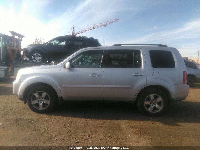 2011 Honda Pilot VIN: 5FNYF4H62BB503938 Lot: 12136995