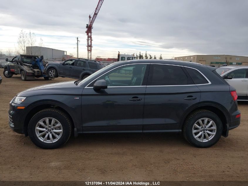 2019 Audi Q5 VIN: WA1ENAFY2K2130406 Lot: 12137094