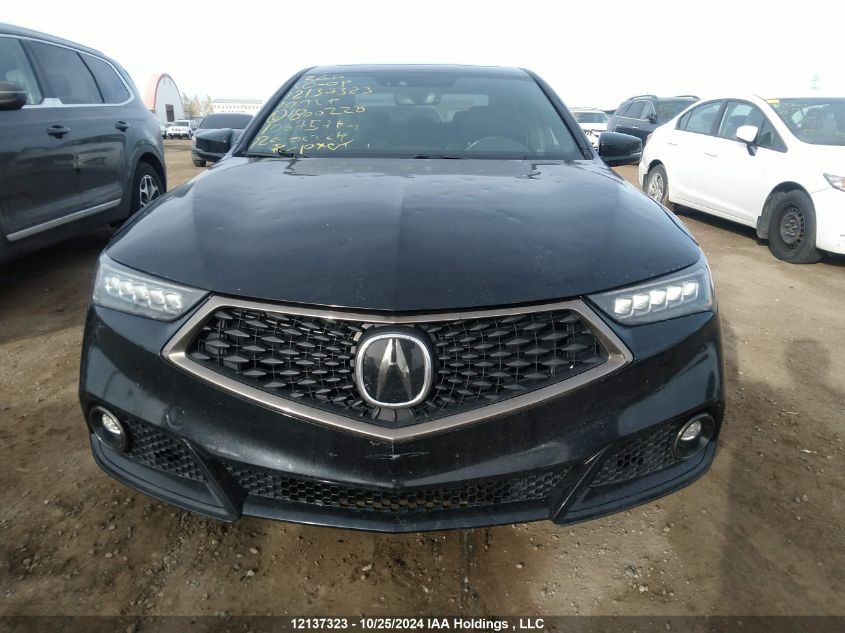 2019 Acura Tlx VIN: 19UUB1F68KA800220 Lot: 12137323