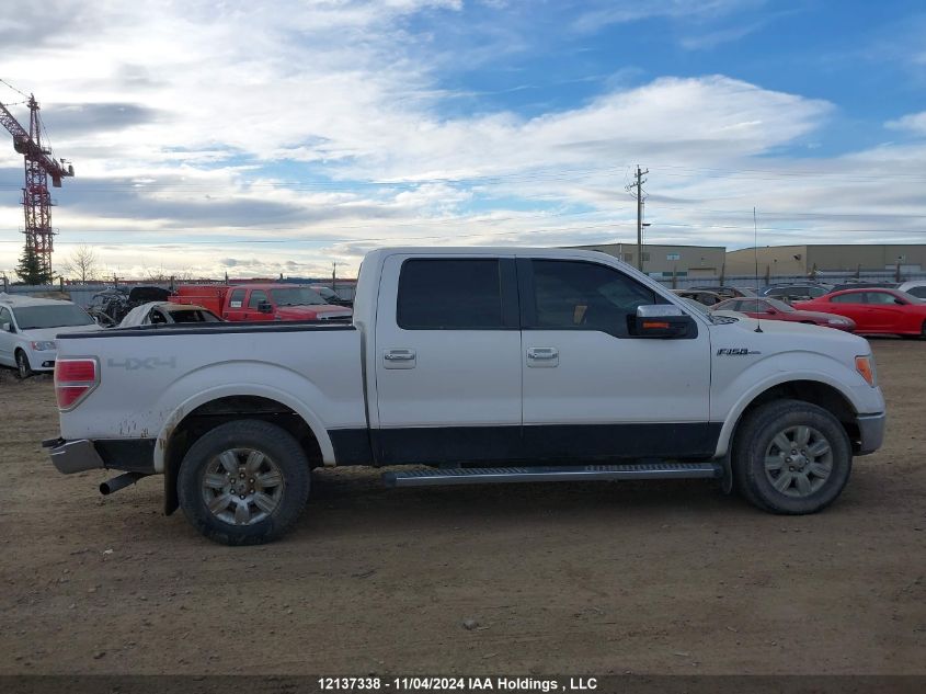 2010 Ford F-150 VIN: 1FTFW1EV3AFD44388 Lot: 12137338