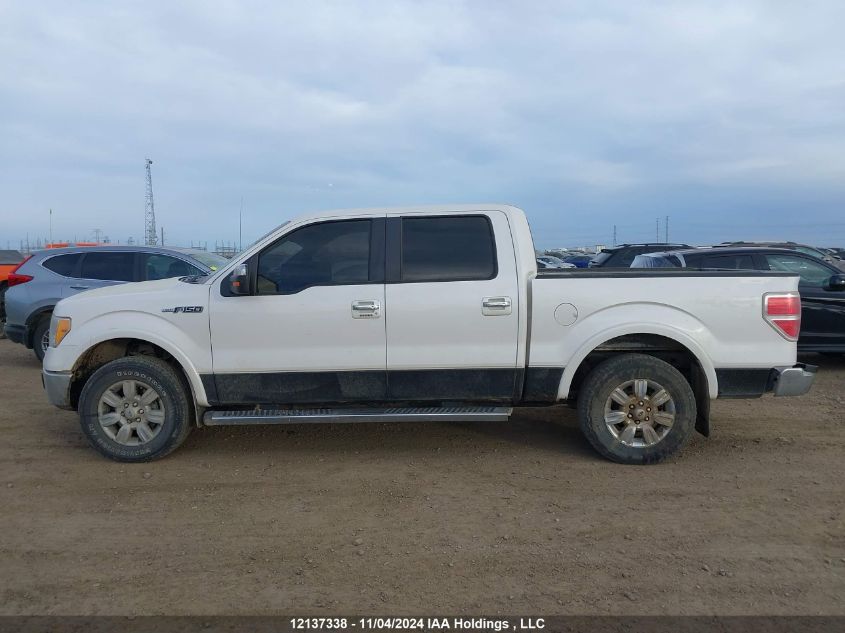 2010 Ford F-150 VIN: 1FTFW1EV3AFD44388 Lot: 12137338