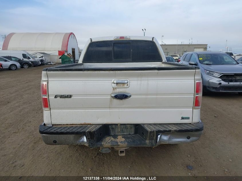 2010 Ford F-150 VIN: 1FTFW1EV3AFD44388 Lot: 12137338