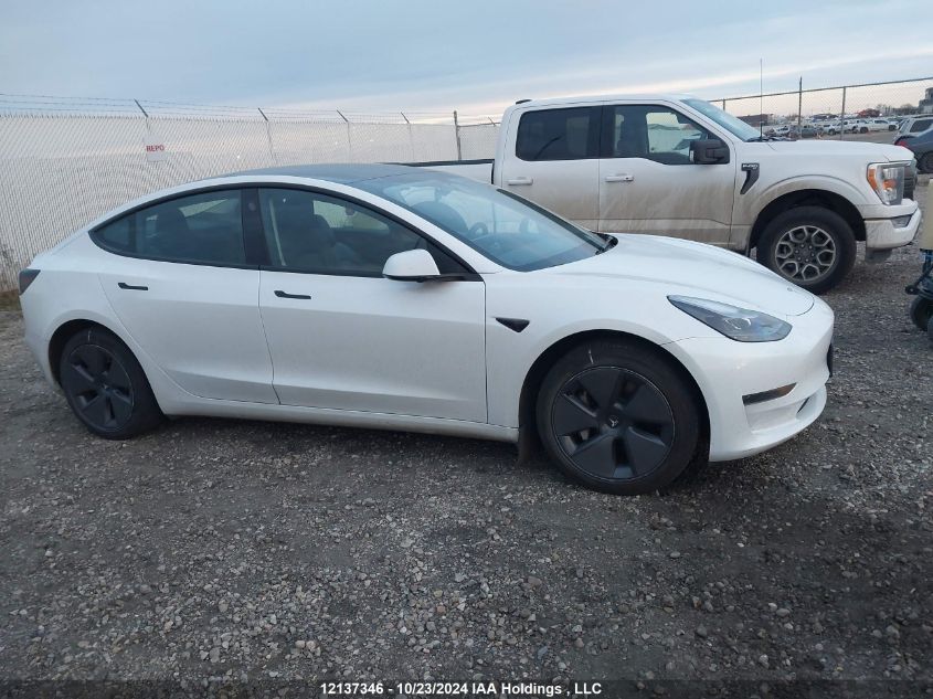 2023 Tesla Model 3 VIN: 5YJ3E1EA8PF496862 Lot: 12137346