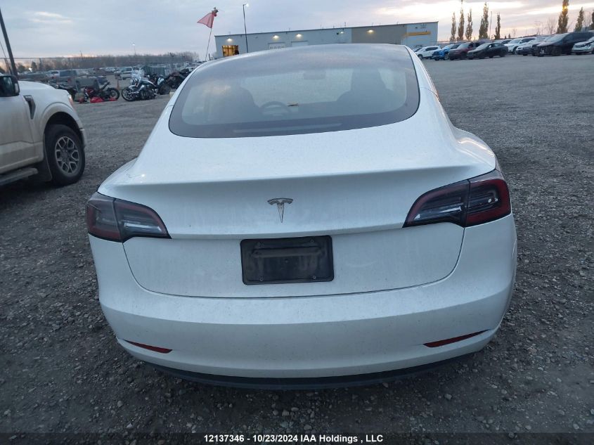 2023 Tesla Model 3 VIN: 5YJ3E1EA8PF496862 Lot: 12137346