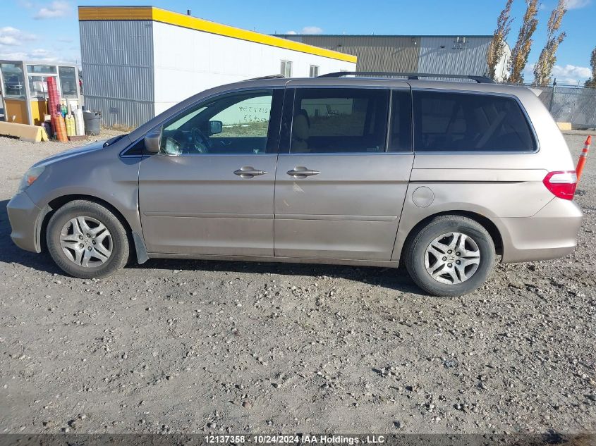 2007 Honda Odyssey VIN: 5FNRL38687B510181 Lot: 12137358