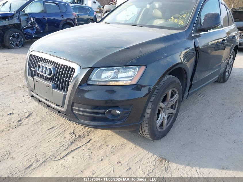 2011 Audi Q5 VIN: WA1LFCFP5BA023802 Lot: 12137384