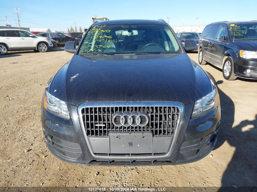 2011 Audi Q5 VIN: WA1VFCFP6BA084746 Lot: 12137418