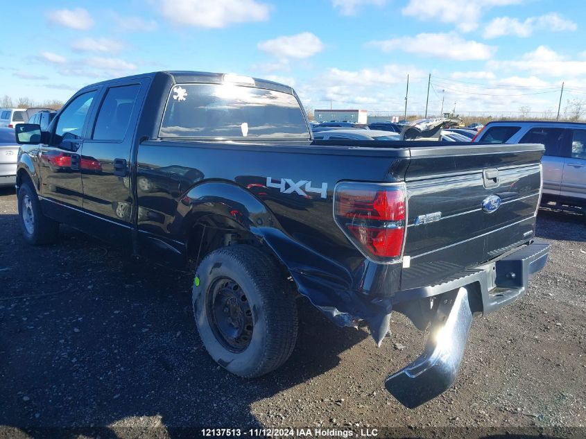 2014 Ford F-150 Xlt VIN: 1FTFW1EF8EFC20034 Lot: 12137513