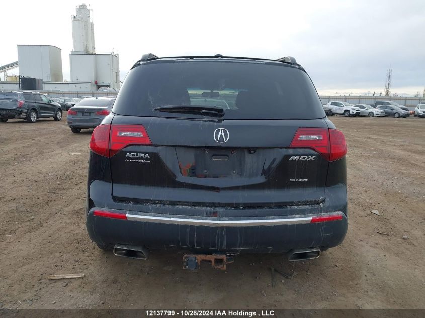 2010 Acura Mdx VIN: 2HNYD2H76AH002573 Lot: 12137799