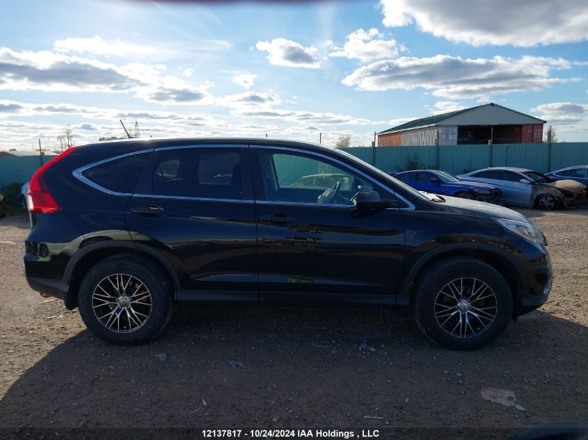 2016 Honda Cr-V VIN: 2HKRM4H36GH132873 Lot: 12137817