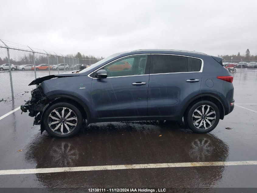 2019 Kia Sportage VIN: KNDPNCAC8K7521469 Lot: 12138111