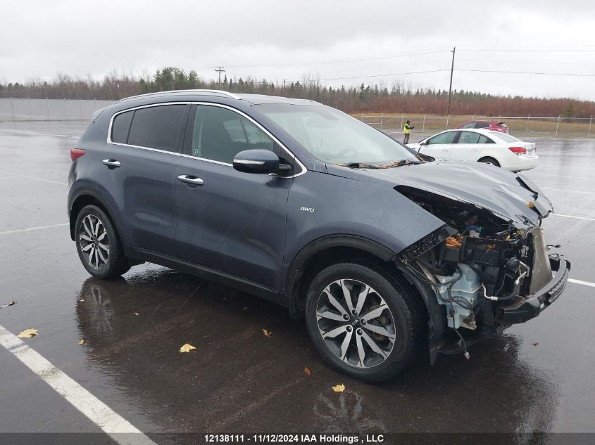 2019 Kia Sportage VIN: KNDPNCAC8K7521469 Lot: 12138111