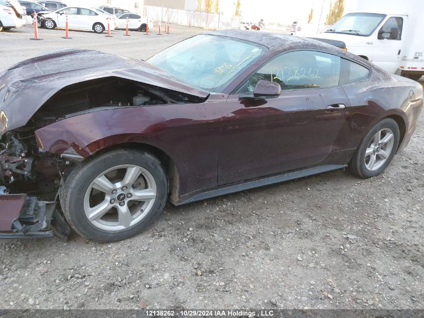 2018 Ford Mustang VIN: 1FA6P8TH7J5145732 Lot: 12138262