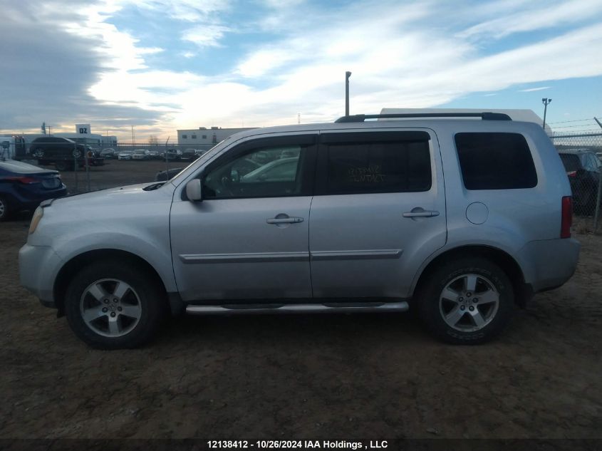 2009 Honda Pilot Exl VIN: 5FNYF48569B504463 Lot: 12138412