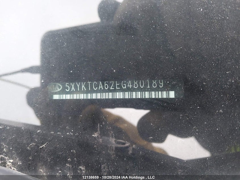 2014 Kia Sorento VIN: 5XYKTCA62EG480189 Lot: 12138659