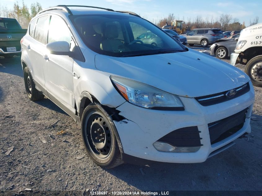 2013 Ford Escape Se VIN: 1FMCU0G99DUA95710 Lot: 12138697