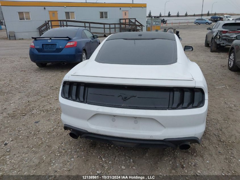 2019 Ford Mustang VIN: 1FA6P8TH8K5173010 Lot: 12138981