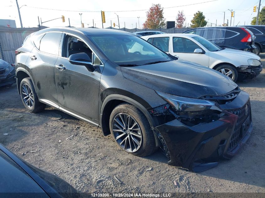 2022 Lexus Nx 350H 350H VIN: 2T2GKCEZ6NC007559 Lot: 12139208