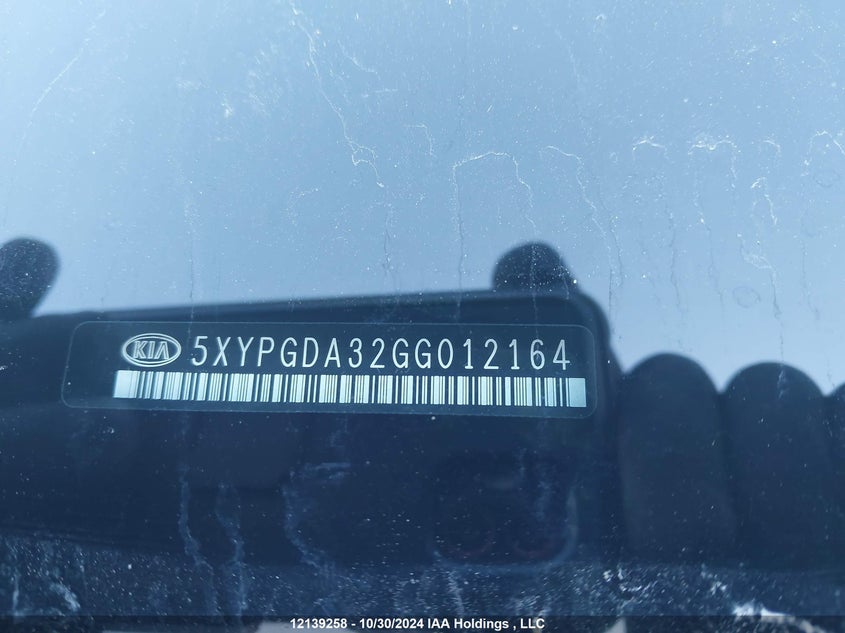 2016 Kia Sorento VIN: 5XYPGDA32GG012164 Lot: 12139258