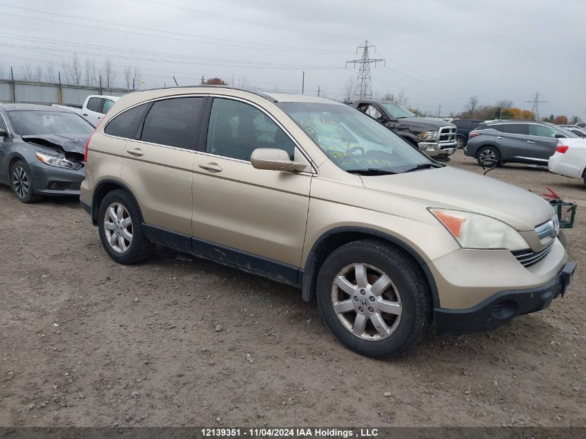 2007 Honda Cr-V VIN: 5J6RE48727L802022 Lot: 12139351